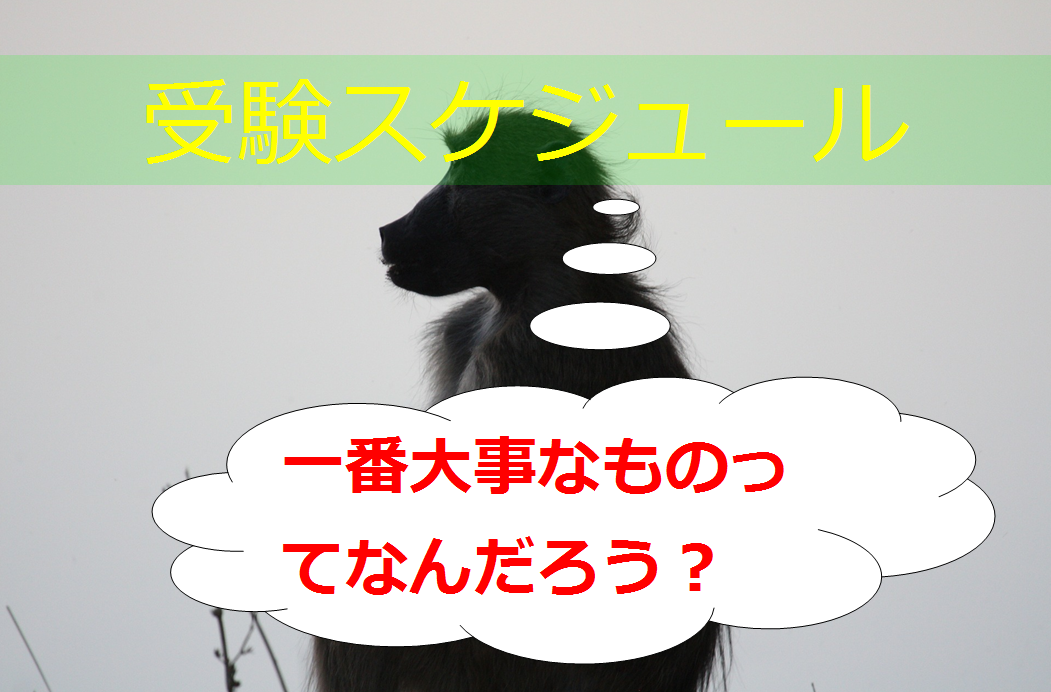 臨床心理士指定大学院 受験スケジュールで把握すべき最も重要な事 知識ゼロから臨床心理士をめざすブログ