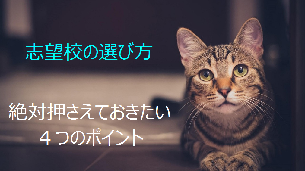 アイ志望校の選び方