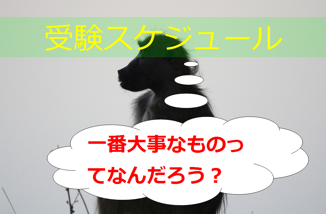 受験スケジュール